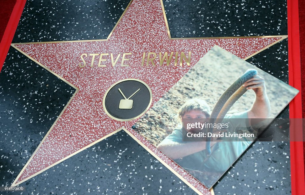 Steve Irwin Honored Posthumously With Star On The Hollywood Walk Of Fame