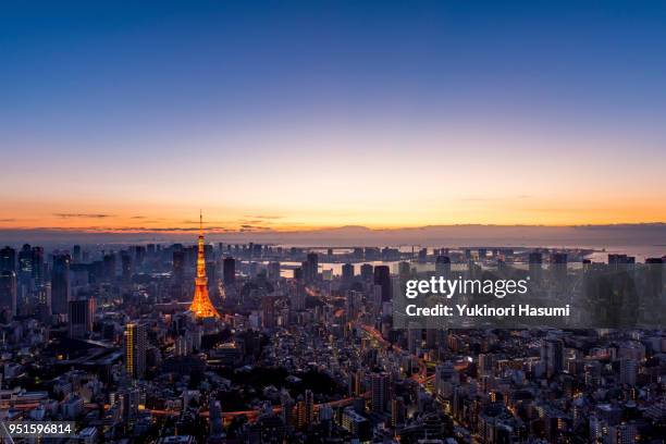 tokyo at dawn - townscape stock pictures, royalty-free photos & images