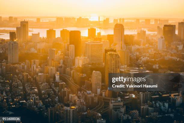 tokyo at dawn - sunrise dawn city stock pictures, royalty-free photos & images