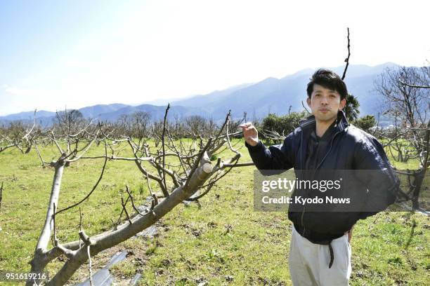 Photo taken in March 2018 shows Takeshi Okame, a lemon and fig farmer in the western Japan city of Saijo. He works as a contract farmer of the Ragri...