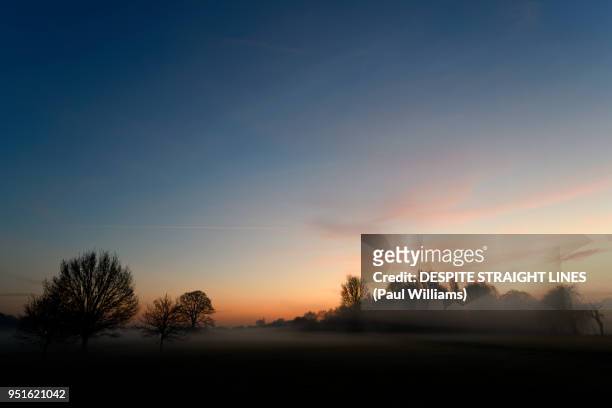 burning star rising - meadow williams stock pictures, royalty-free photos & images