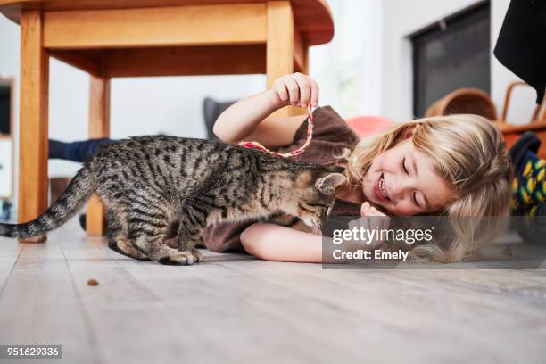 young girl lying on floor, playing with pet cat - cat laughing - fotografias e filmes do acervo