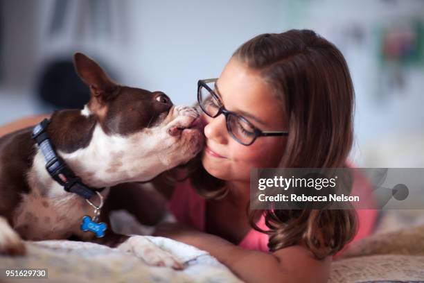 girl lying on bed, pet dog licking her face - dog licking face stock-fotos und bilder