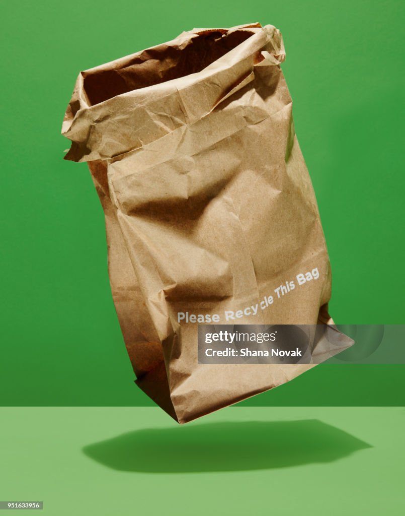 Recycleable Paper bag