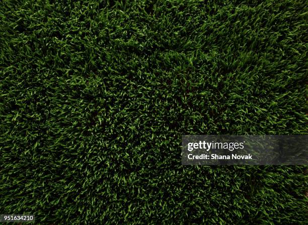 green lawn - kunstgras stockfoto's en -beelden