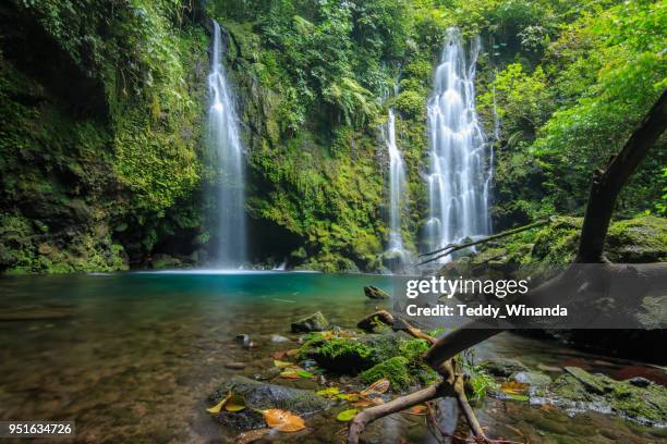 waterfall in a tropical rainforest, west sumatra, indonesia - sumatra bildbanksfoton och bilder