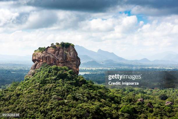 lion rock, dambulla, matale district, central province, sri lanka - cultura cingalesa imagens e fotografias de stock