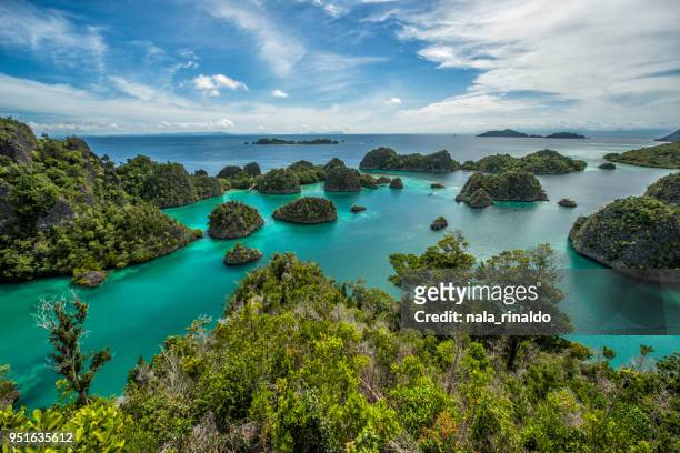 pianemo raja ampat, west papua, indonesia - raja ampat islands 個照片及圖片檔