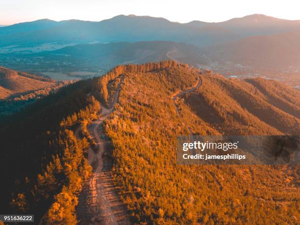 road through mountain landscape, bright, victoria, australia - bright victoria australia stock pictures, royalty-free photos & images