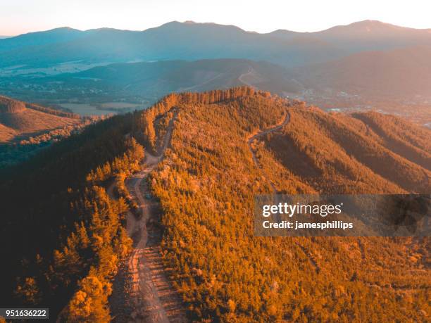 road through mountain landscape, bright, victoria, australia - bergsklimat bildbanksfoton och bilder