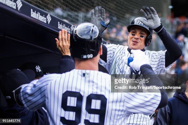 Ronald Torreyes of the New York Yankees hi fives Aaron Judge after Judge's home run during the game against the Tampa Bay Rays at Yankee Stadium on...