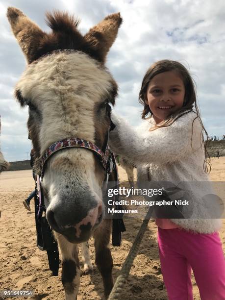 donkey rides. - croyde stockfoto's en -beelden