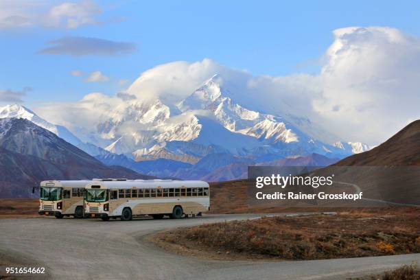 buses and tourists at viewpoint with mount denali in background - rainer grosskopf photos et images de collection