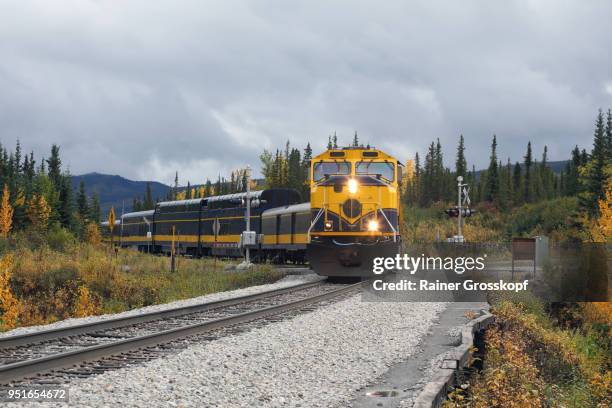 front view of alaska railroad in autumn landscape - rainer grosskopf fotografías e imágenes de stock