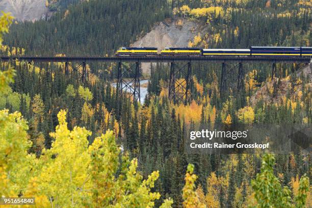 alaska railroad in autumn landscape - rainer grosskopf 個照片及圖片檔