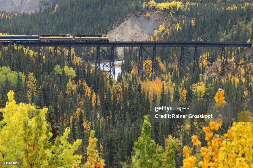 Alaska Railroad in autumn landscape