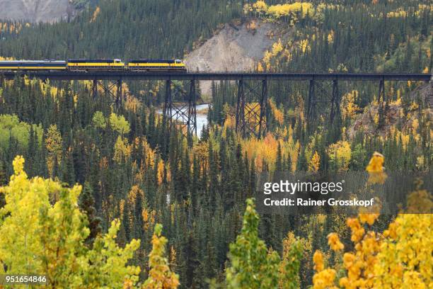 alaska railroad in autumn landscape - rainer grosskopf fotografías e imágenes de stock