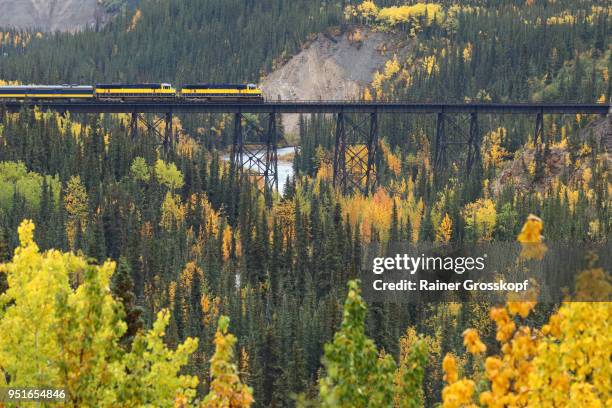 alaska railroad in autumn landscape - rainer grosskopf 個照片及圖片檔