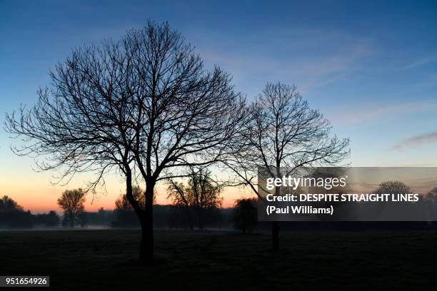 mist and the morning - meadow williams stock pictures, royalty-free photos & images