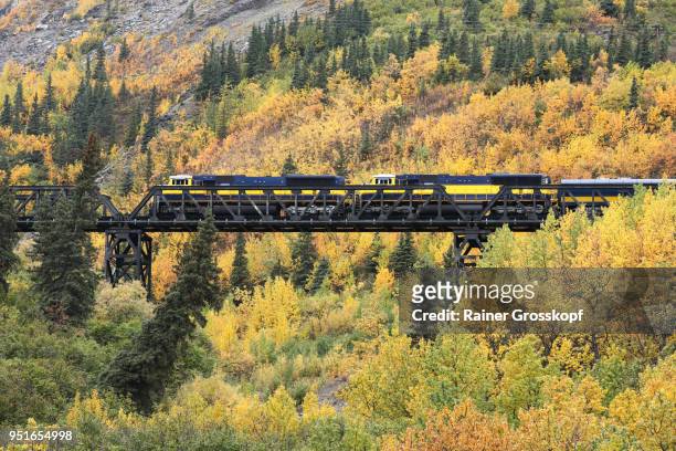 alaska railroad in autumn landscape - rainer grosskopf 個照片及圖片檔