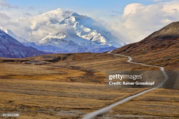 park road in autumn landscape leading toward mount denali - rainer grosskopf 個照片及圖片檔