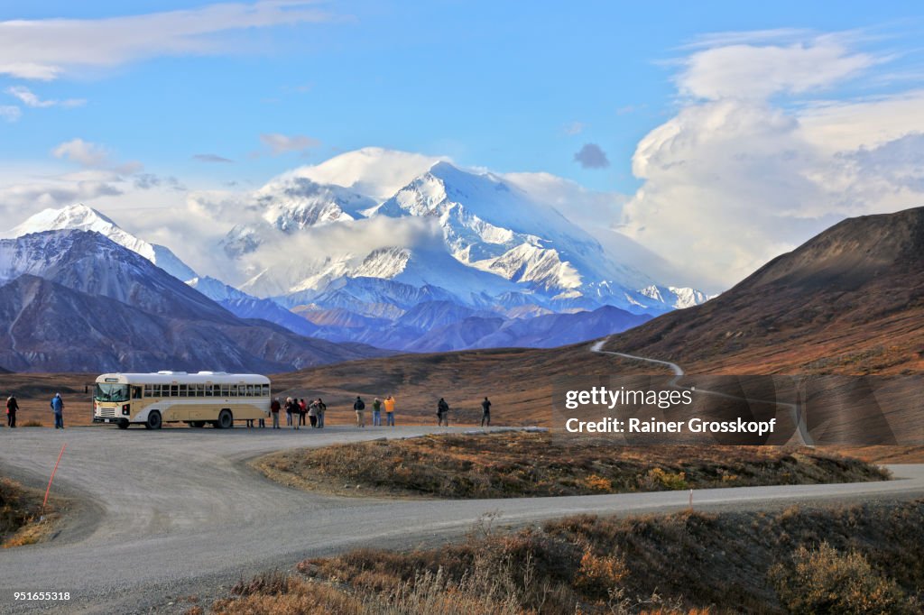 Buses and tourists at viewpoint with Mount Denali in background