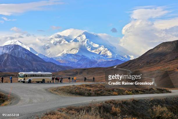 buses and tourists at viewpoint with mount denali in background - rainer grosskopf 個照片及圖片檔