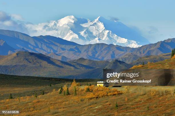 tour bus driving through an autumn landscape with mount denali in background - rainer grosskopf photos et images de collection