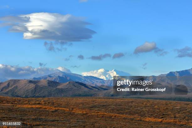 view at the snowcapped mount denali in autumn with dramatic clouds - rainer grosskopf fotografías e imágenes de stock