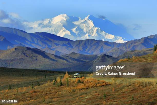 tour bus driving through an autumn landscape with mount denali in background - rainer grosskopf - fotografias e filmes do acervo