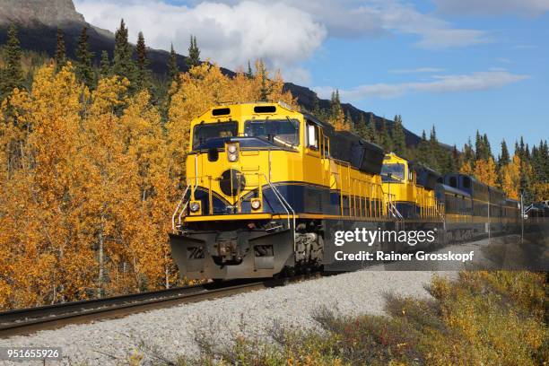 front view of alaska railroad in autumn landscape - rainer grosskopf - fotografias e filmes do acervo