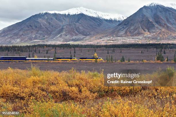 alaska railroad in autumn landscape - rainer grosskopf photos et images de collection