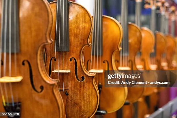 violins - stringed instrument stock pictures, royalty-free photos & images