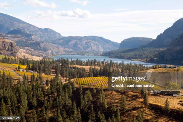 skaha lake okanagan falls - okanagan vineyard stockfoto's en -beelden