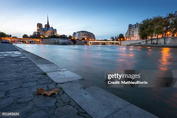beginning of the night in paris and cathedral notre dame - church color light paris stockfoto's en -beelden