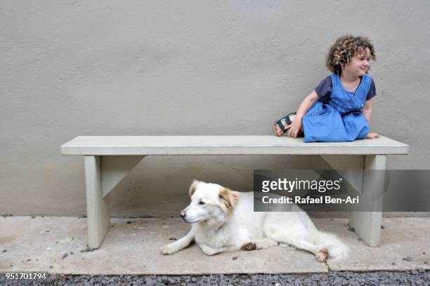 young girl with a dog sitting on a bench - rafael ben ari stock pictures, royalty-free photos & images