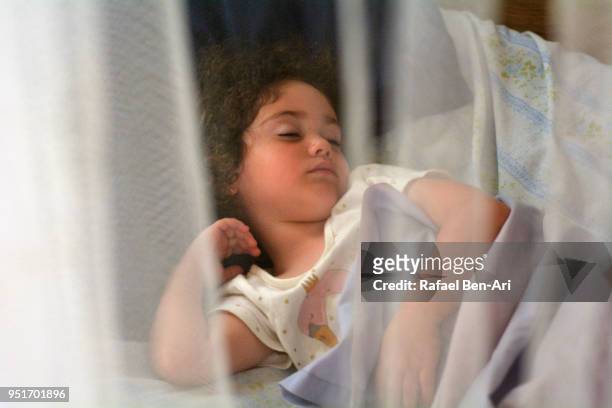 young girl sleeping in bed under a mosquito net - rafael ben ari fotografías e imágenes de stock