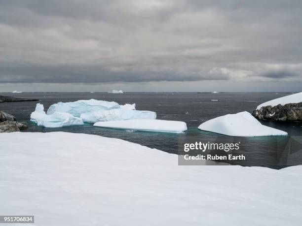 icebergs in petermann island - antarctic peninsula stock-fotos und bilder