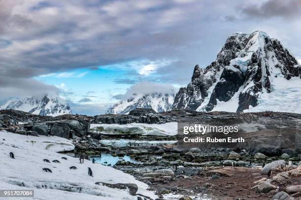 landscape view of antarctic peninsula from petermann island - petermann island stock pictures, royalty-free photos & images