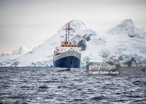 exploration boat and a whale in antarctica - antarctica boat stock pictures, royalty-free photos & images