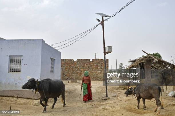 Villager walks past a solar powered street light in a village on the outskirts of Alwar, Rajasthan, India, on Tuesday, April 17, 2018. Rural...