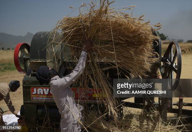 Pakistani farmers use a threshing machine to refine wheat during harvesting in a field on the outskirts of Islamabad on April 27, 2018. - Pakistan is...