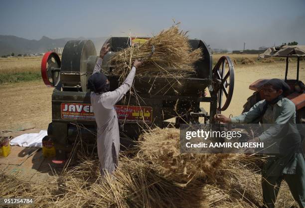 Pakistani farmers use a threshing machine to refine wheat during harvesting in a field on the outskirts of Islamabad on April 27, 2018. - Pakistan is...