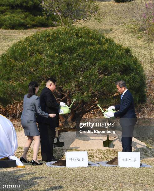 Moon Jae-in, South Korea's president, right, and Kim Jong Un, North Korea's leader, plant a pine tree in the truce village of Panmunjom in the...