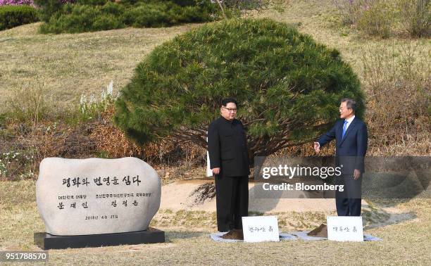 Moon Jae-in, South Korea's president, right, and Kim Jong Un, North Korea's leader, stand in front the pine tree in the truce village of Panmunjom in...