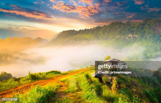vista panoramica alba e nebbia sulla vista sulle montagne a nord della thailandia - chiang rai foto e immagini stock
