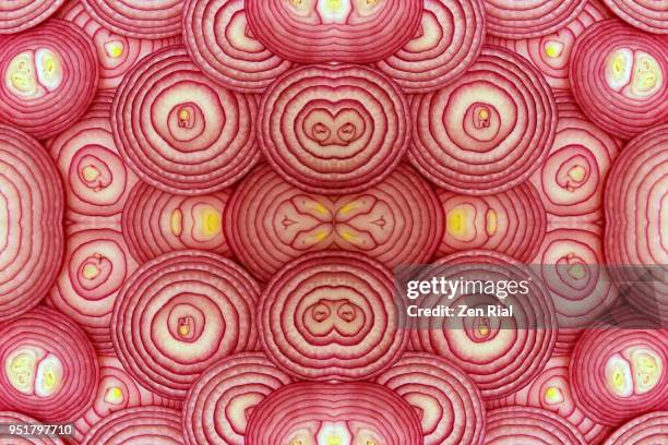 cross sections of a red onion stacked and manipulated to create duplicates - cross section stock-fotos und bilder