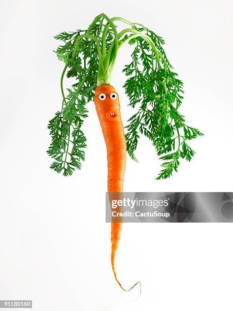 carrot portrait - food sculpture stock pictures, royalty-free photos & images