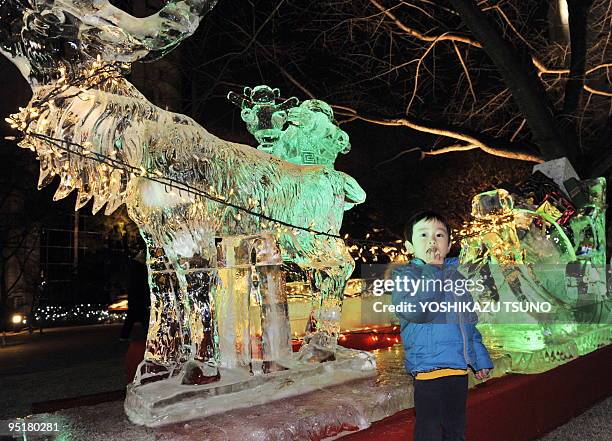 Boy stands by illuminated ice sculptures shaped as reindeer in the garden of Tokyo's Takanawa Prince Hotel on December 24, 2009. AFP PHOTO /...