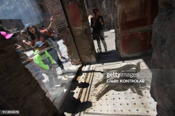 Tourists look at the famous mosaic writing "Cave Canem" the archaeological area of Pompeii, the ancient Roman town buried by the eruption of the...